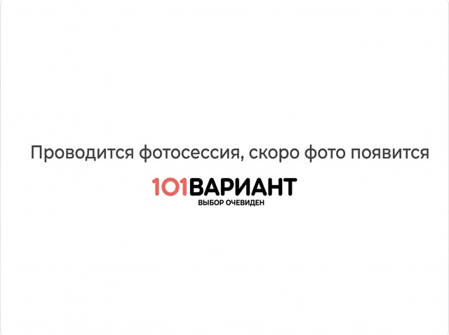Ферингер Макси ПФ в каменной облицовке