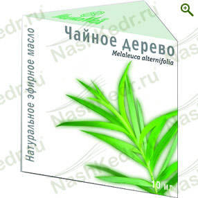 Эфирное масло чайного дерева — Наш Кедр