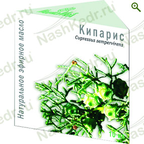 Эфирное масло кипариса — Наш Кедр