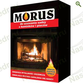 Morus — Наш Кедр