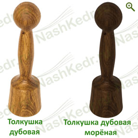 Толкушка дубовая — Наш Кедр