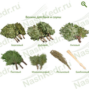 Веники для бани — Наш Кедр