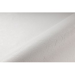 Пленка ПВХ 1,65х25,00м "Alkorplan-Relief", "White", текстурная /81116701 — Жемчужина