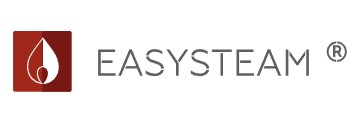 EasySteam (ИзиСтим) — логотип